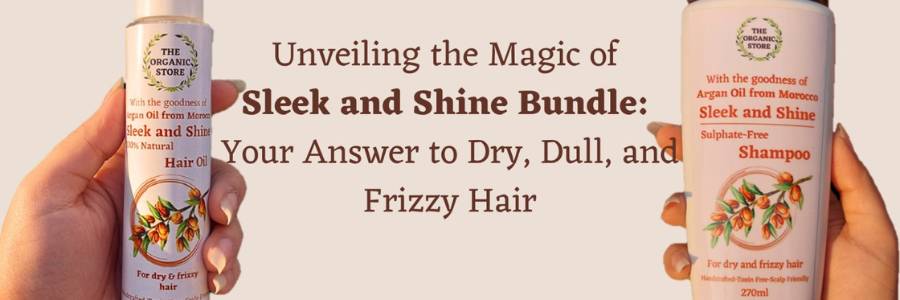 Unveiling the Magic of Sleek and Shine Bundle